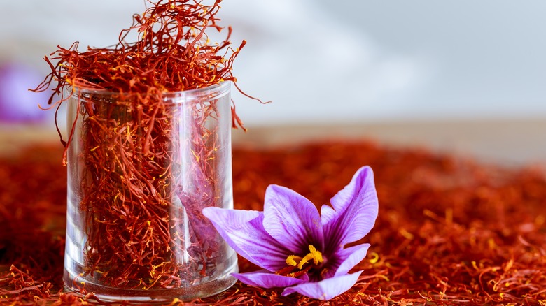saffron crocus and threads