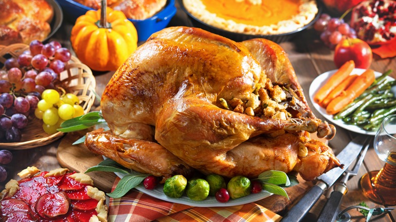 Turkey surrounded by trimmings