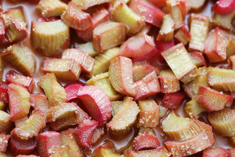 Rhubarb is a vegetable