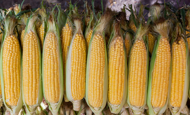 Corn is not a vegetable but a grain and a fruit