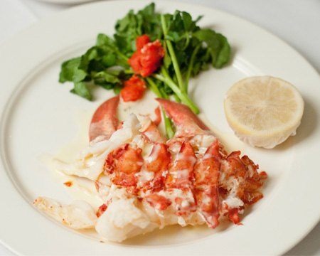 Lobster