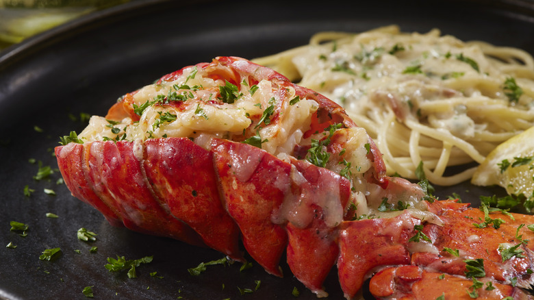 Lobster Thermidor, with spaghetti in cream sauce behind it