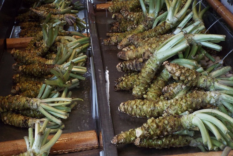 fresh wasabi