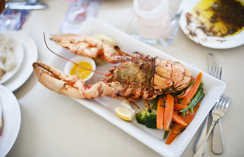 Lobster