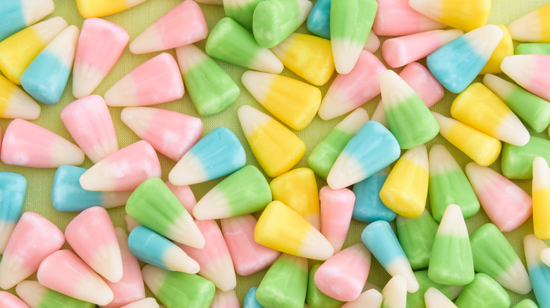 Bunny corn on green background