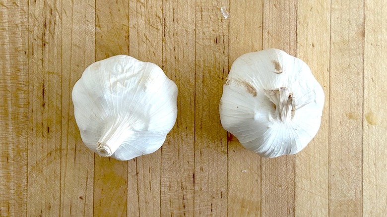 Two heads of garic