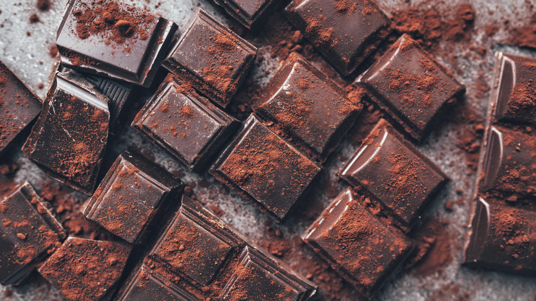 Dark chocolate pieces