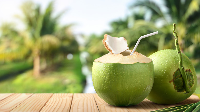 Drinking coconuts on outdoor wooden table