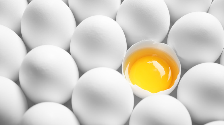 White hen eggs