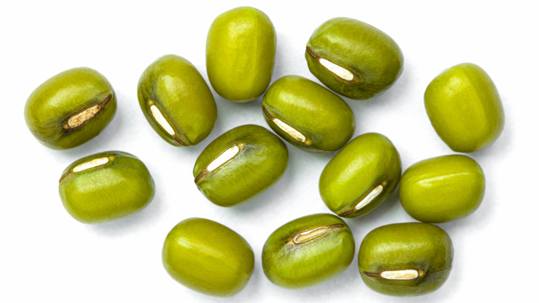 group of mung beans 