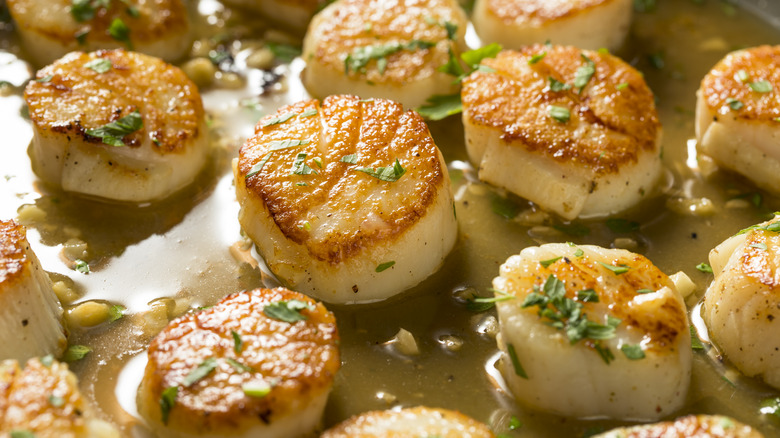 Pan-seared scallops