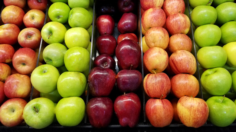 rows of apples