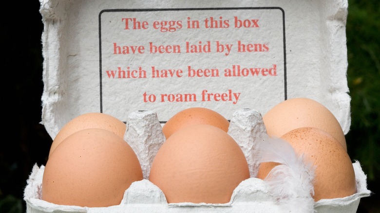 six eggs in an open carton