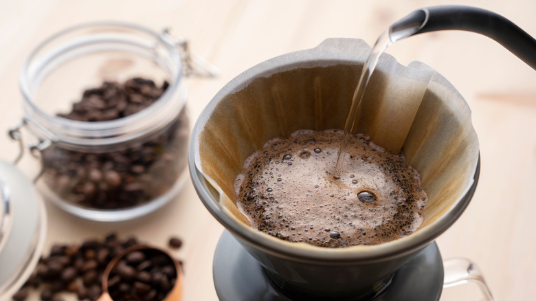 Coffee blooming in cone