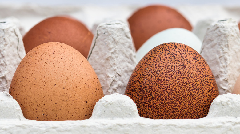 Brown eggs in a carton