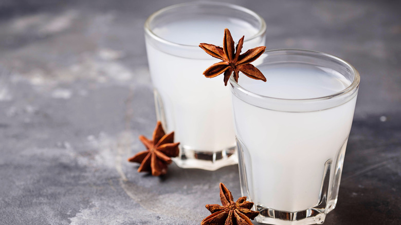 ouzo shots and anise