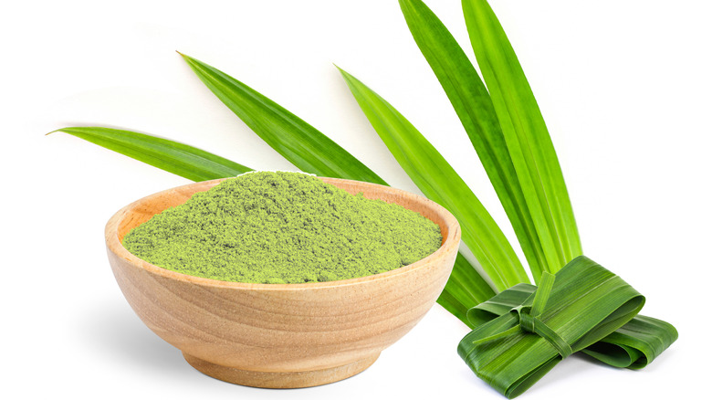 Fresh pandan leave and pandan powder