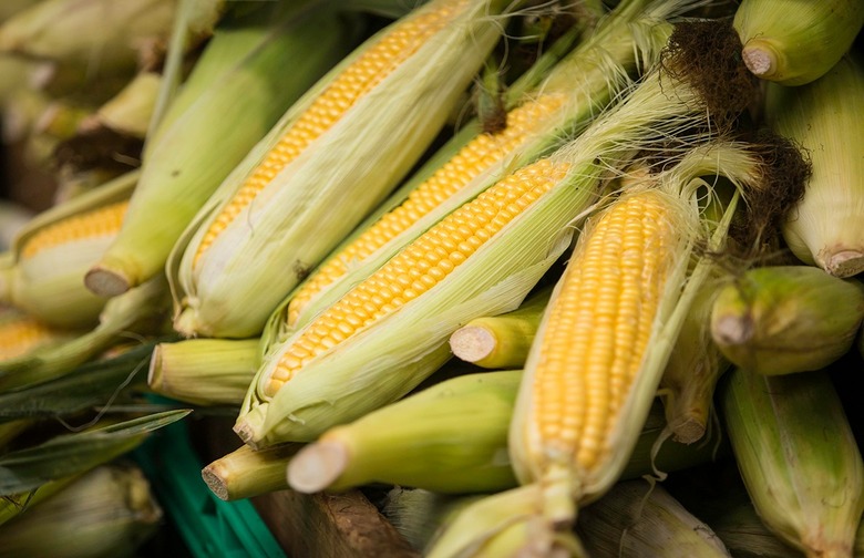 1999: 10 ears of corn