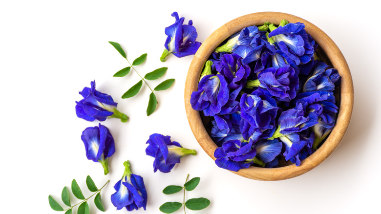 Butterfly pea flowers