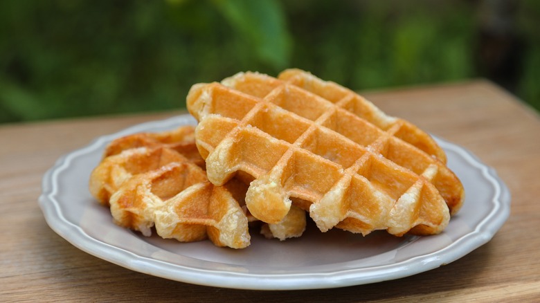 two waffles on a plate