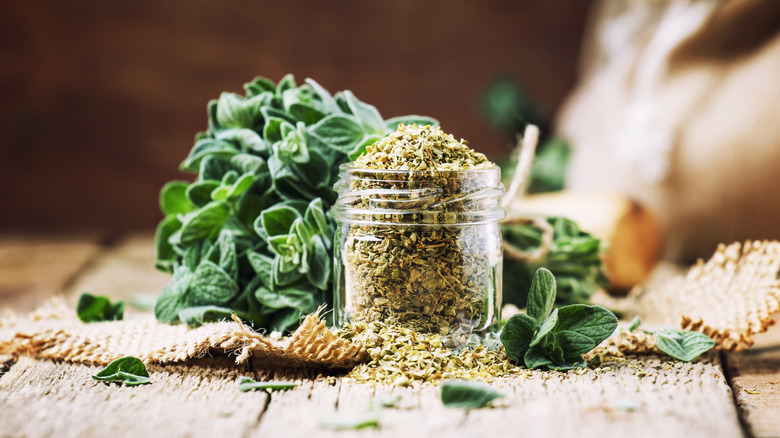 dried oregano and fresh oregano