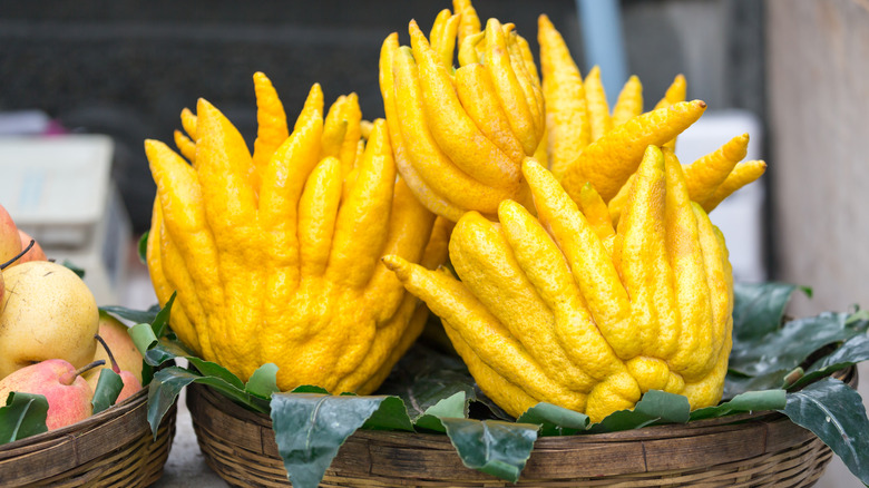 Buddha's Hand citron fruit in basket