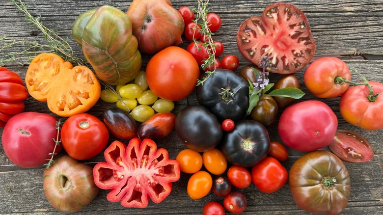 A variety of heirloom tomatoes on a table