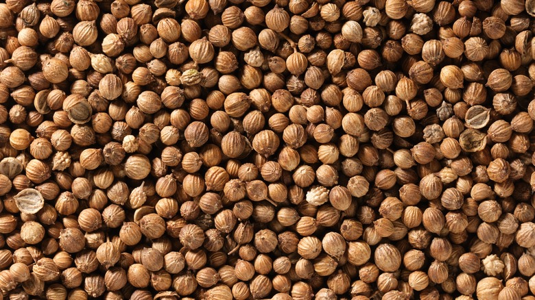 Dried coriander seeds in a huge pile