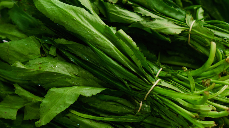 Close-up of culantro bunches