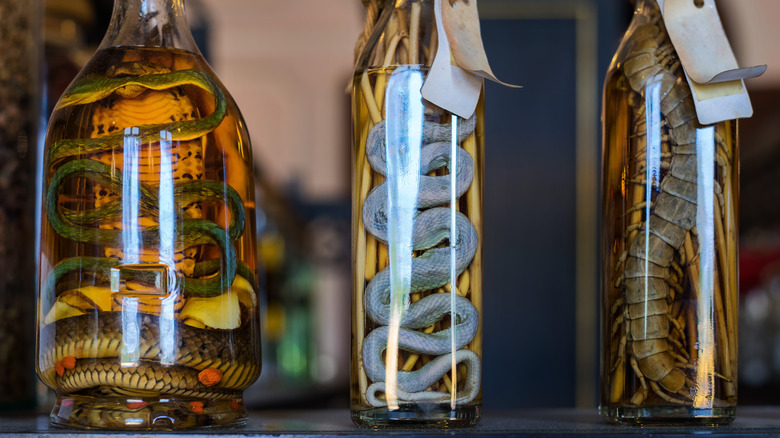 snakes in wine bottles