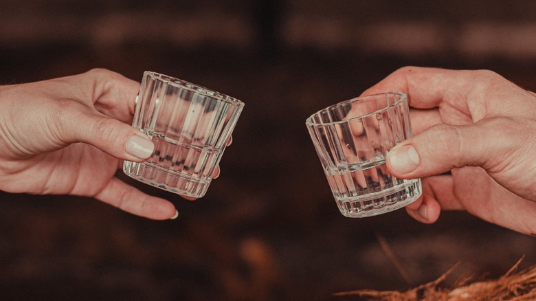 Shots of mexican sotol, tequila