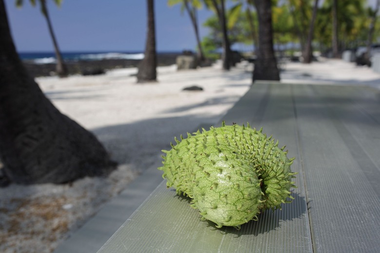 Soursop
