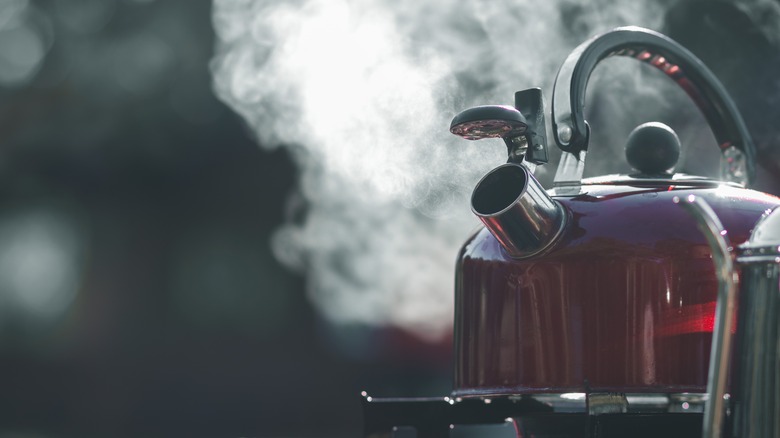steaming tea kettle 
