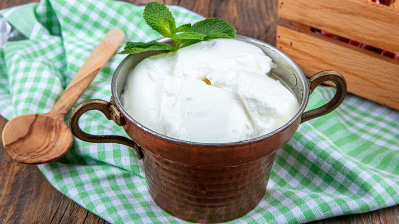 Yogurt in bowl and wooden spoon