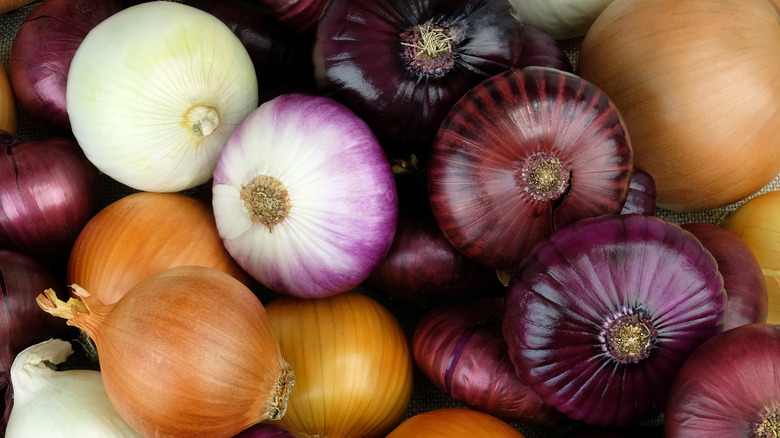 Variety of onions