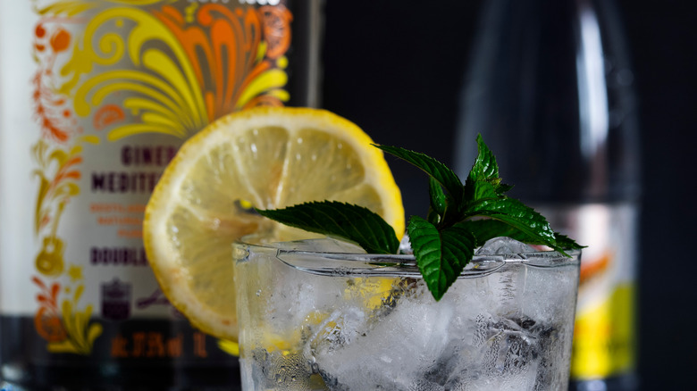 gin and tonic with liquor bottle