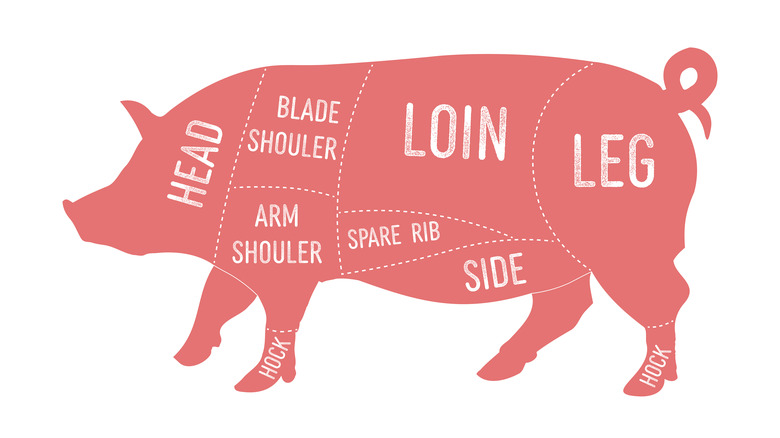 Primal cuts of pork 