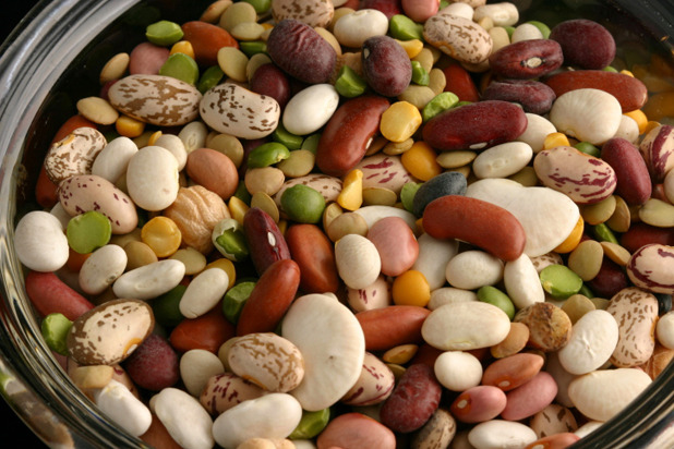Embrace the Bean
