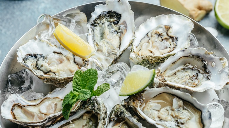 Oysters on ice