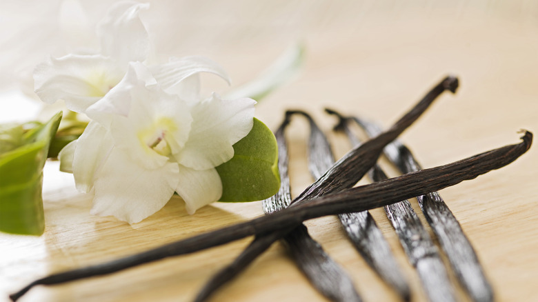 Vanilla flower and pods