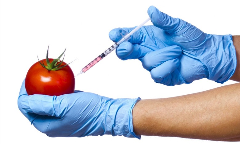 GMO