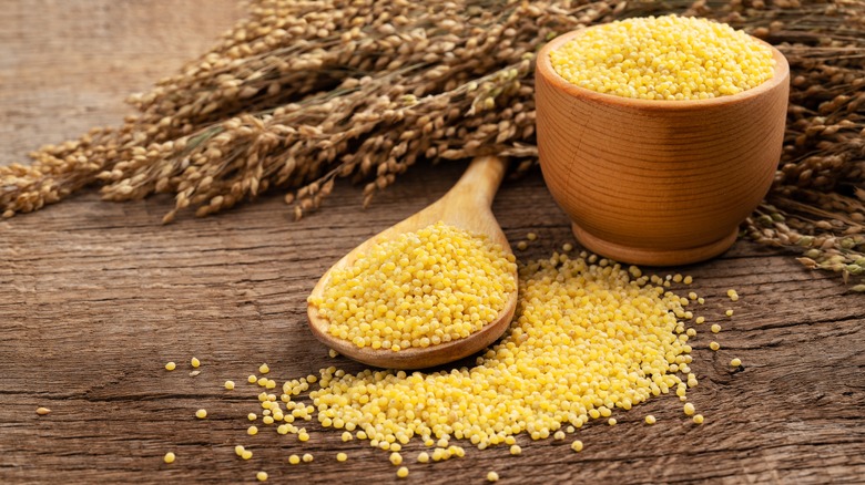 Millet in a spoon