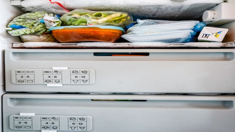 A freezer packed full of different food items