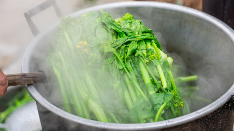 Green cabbage after being blanched in a large pot