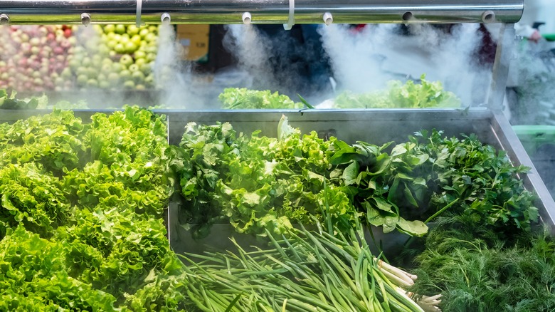 misters spray lettuce and green onions