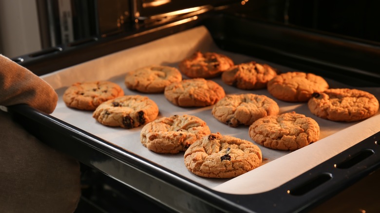 chocolate chip cookies on tray