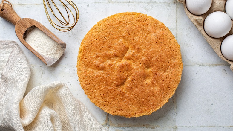 yellow sponge cake and ingredients
