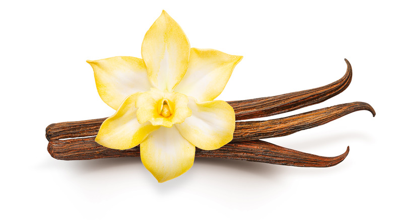 Vanilla bean pods 