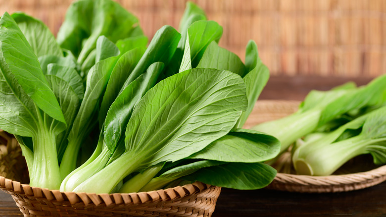 Baby bok choy in basket