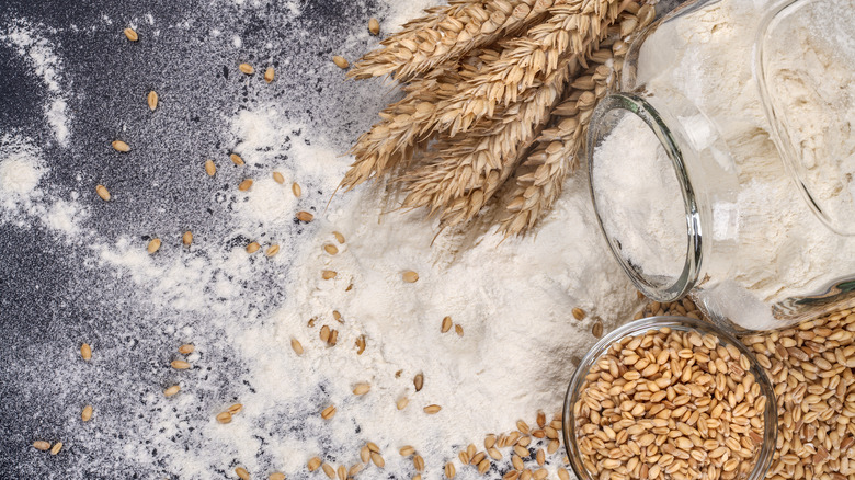 wheat flour on a black background